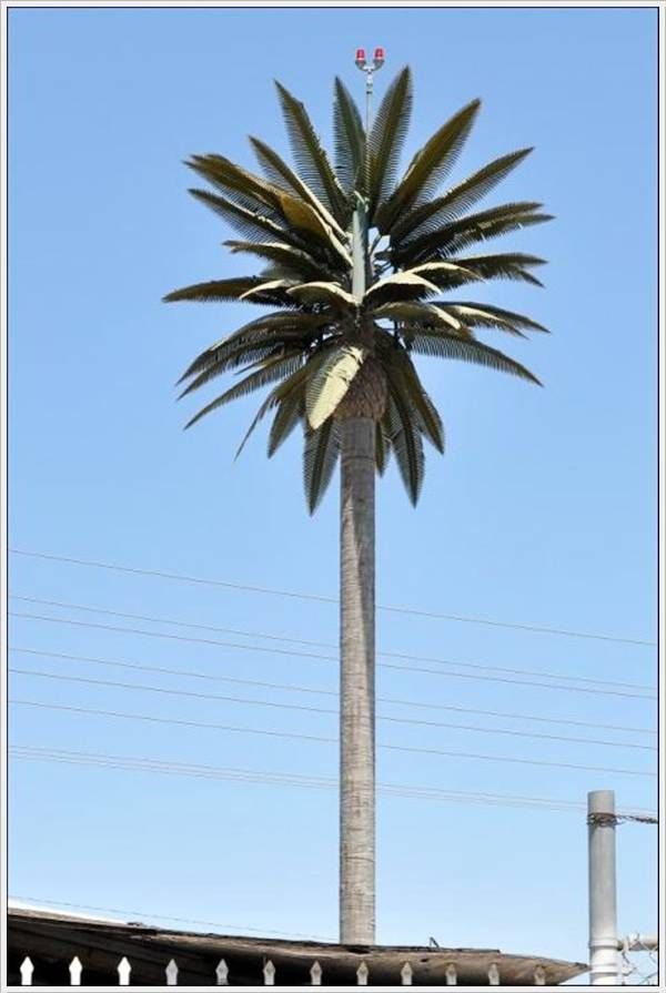 cell_tower_19.jpg