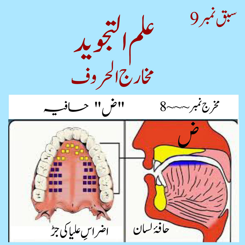 6-D2000-D7-C88-C-4-EAC-9-B7-E-A9096-C737-E02.jpg