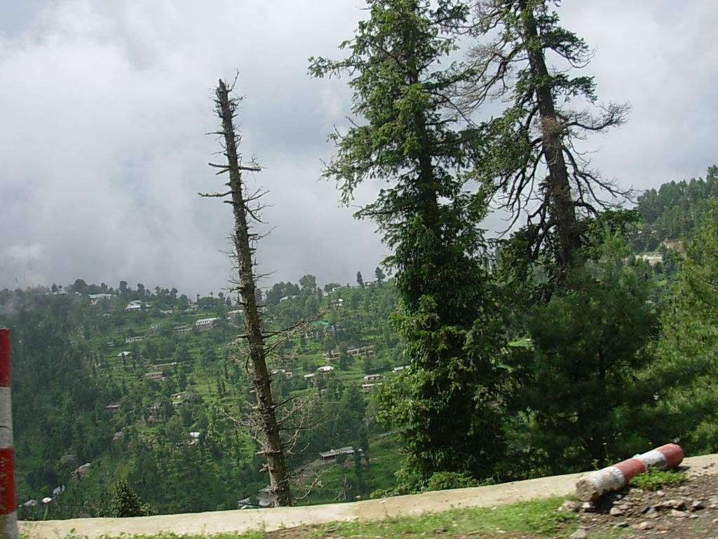 dscn5609_122.jpg