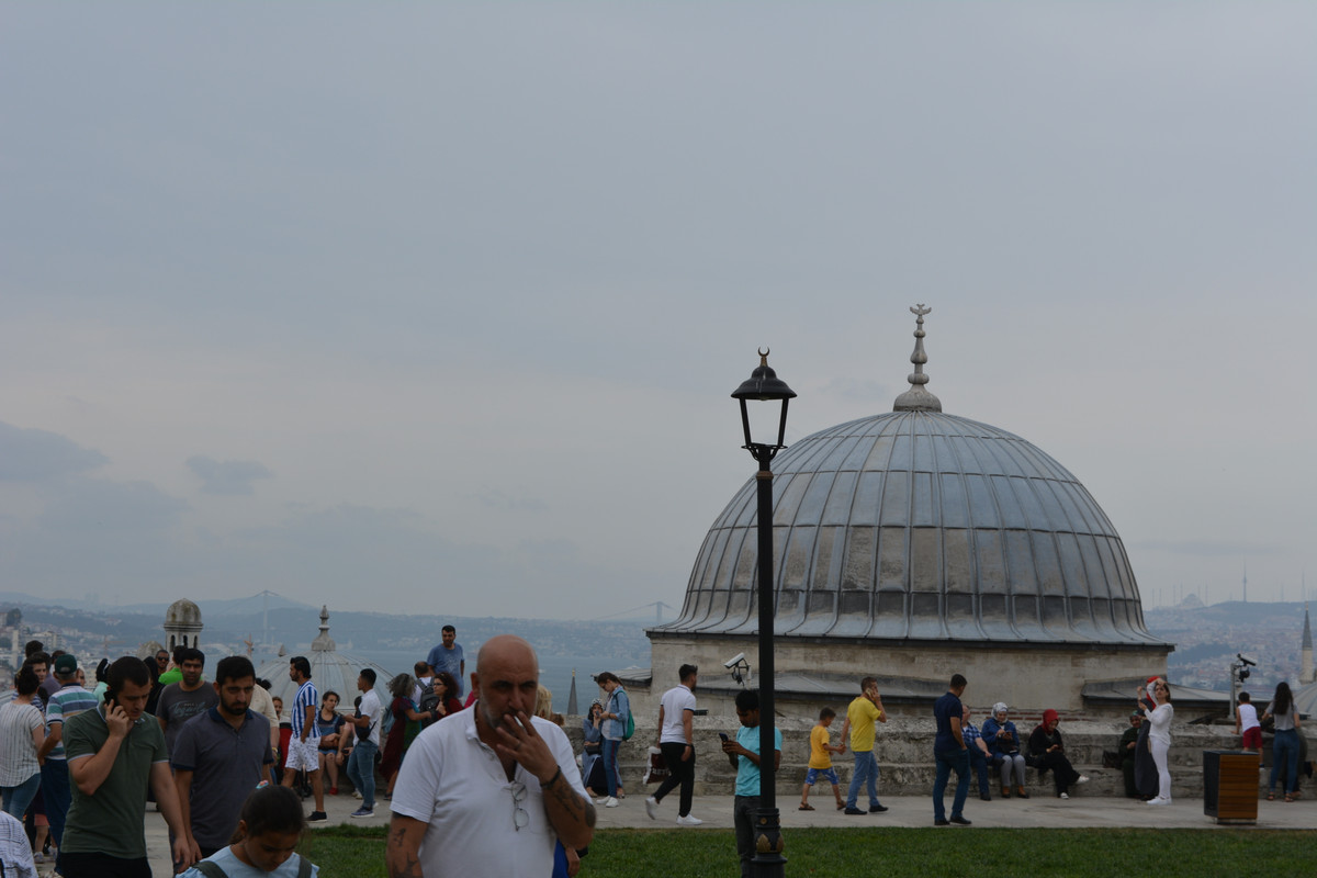 DSC-5872.jpg