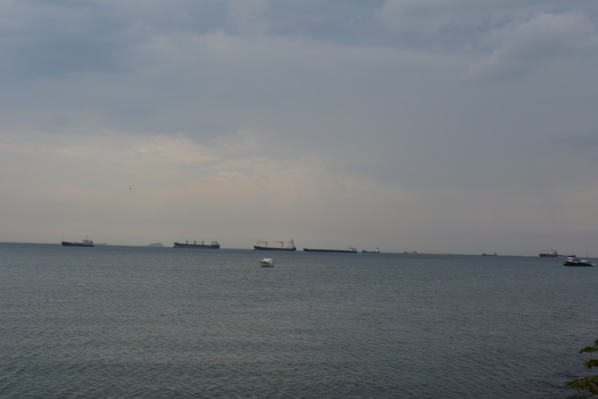 DSC-5836.jpg