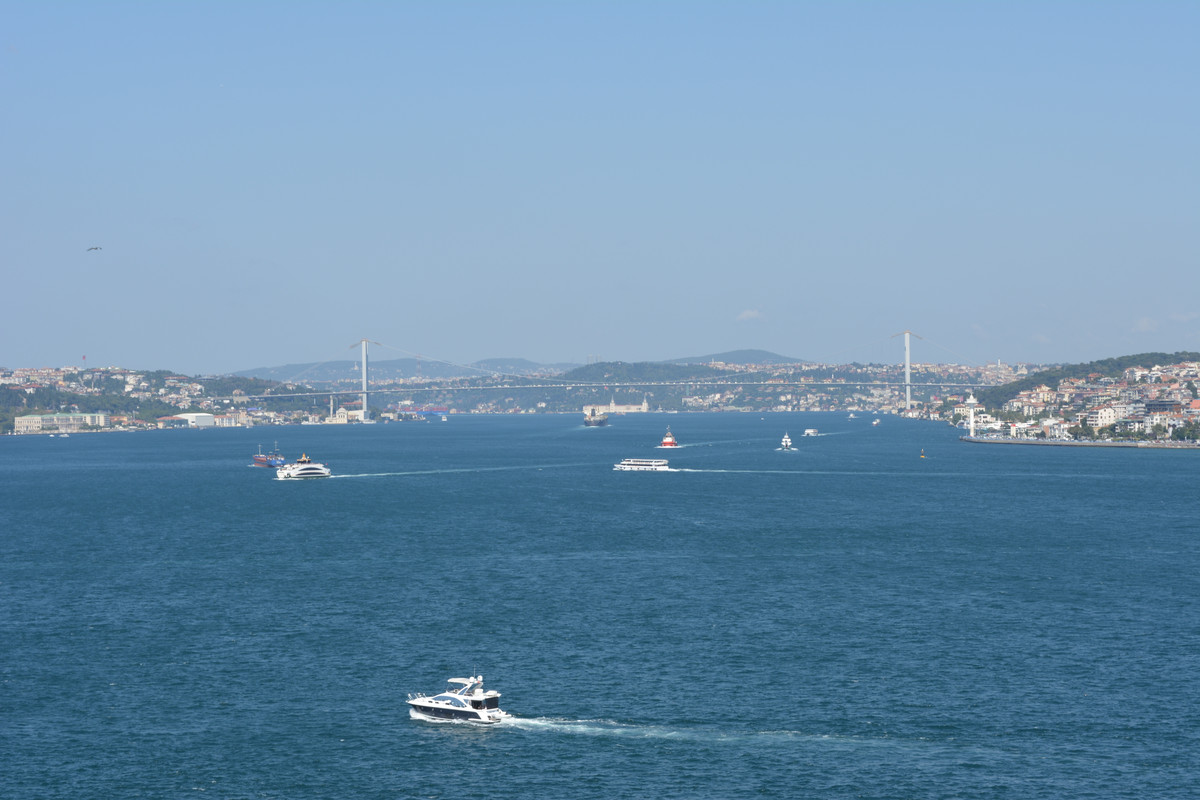 DSC-4267.jpg