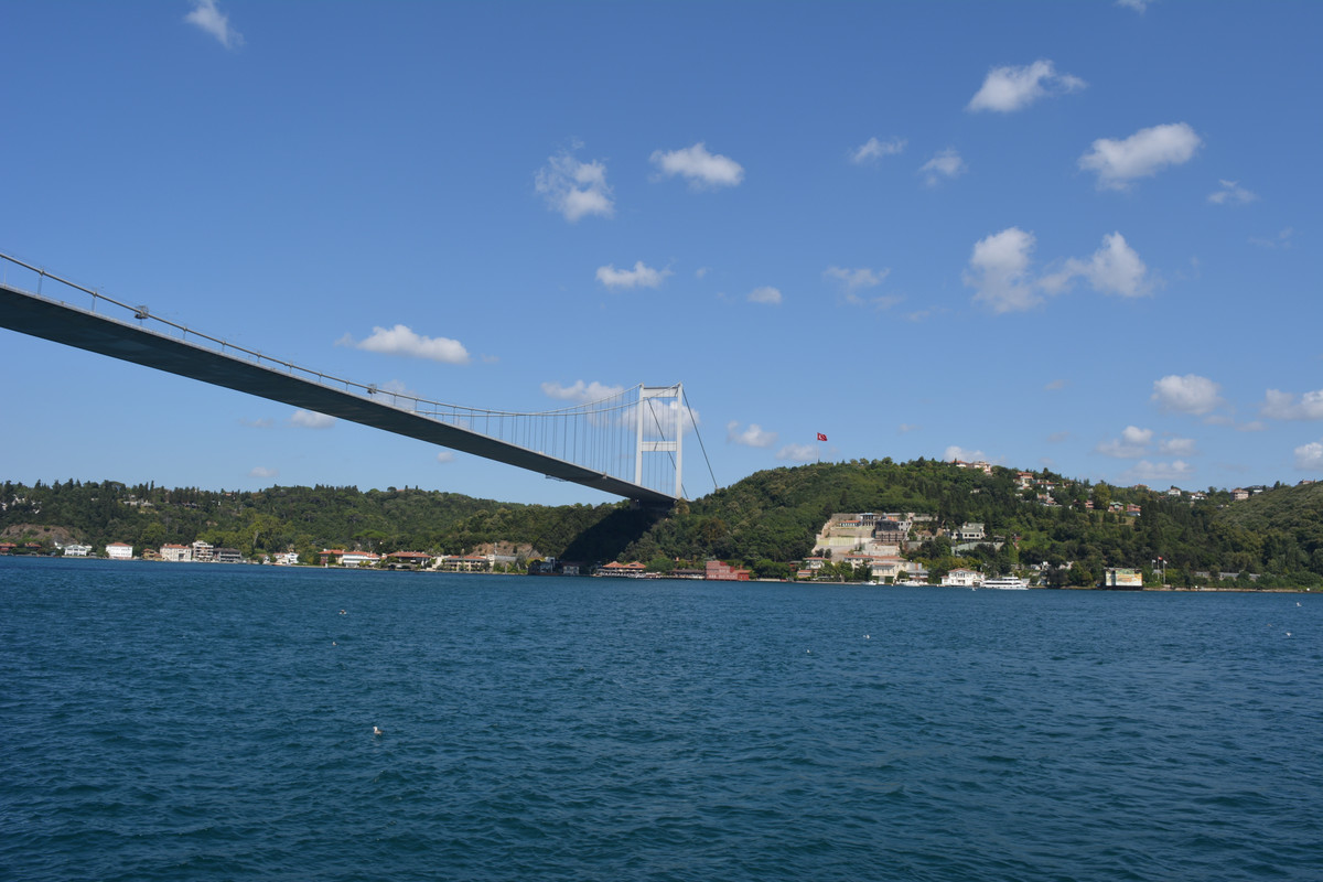 DSC-4787.jpg