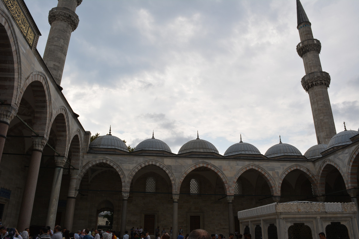 DSC-5880.jpg