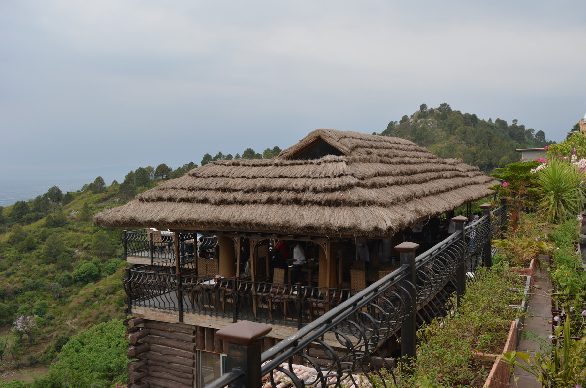 DSC-3134.jpg