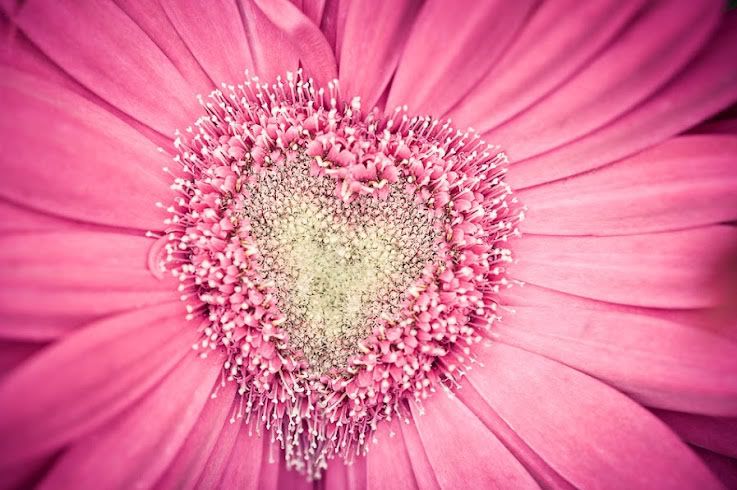 pinkby106.jpg