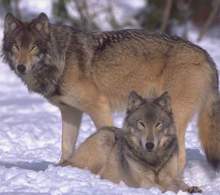 Wold+Couple.JPG
