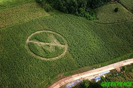 aerial-view-of-a-crop-circle-m.jpg