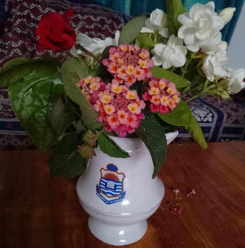 IMG-20250510-080612-MP-1.jpg