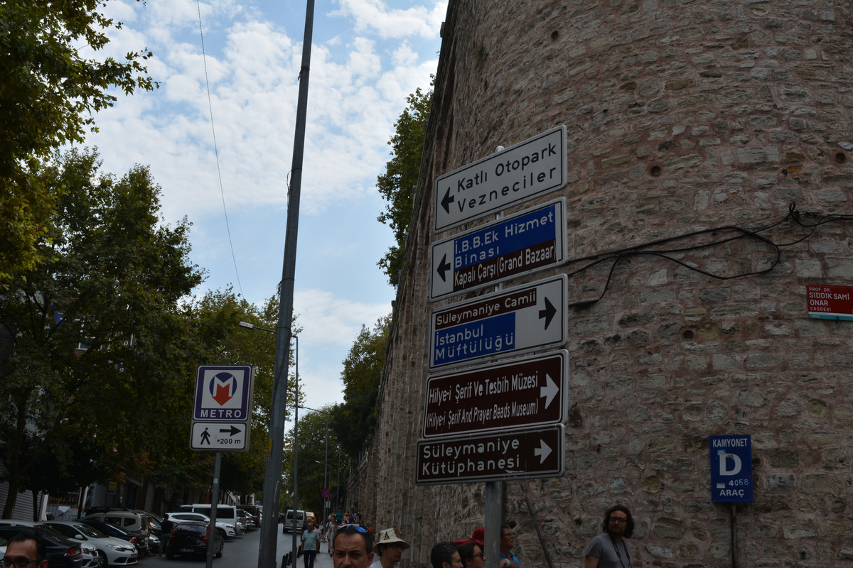 DSC-5841.jpg