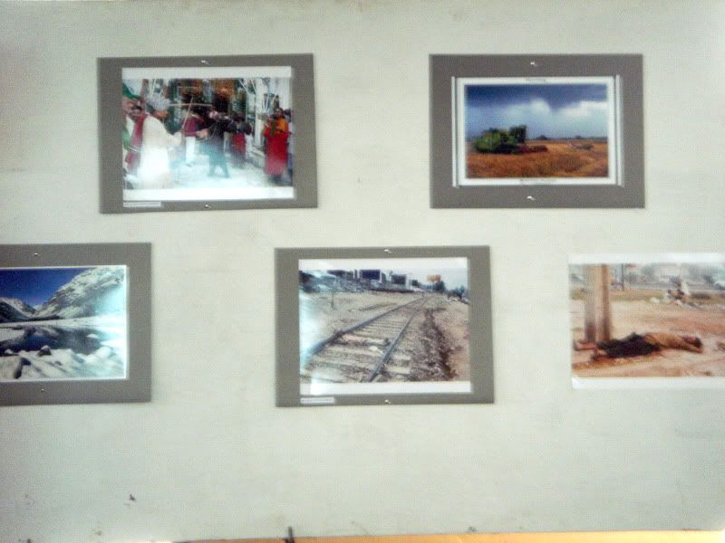 DSC03837-1.jpg