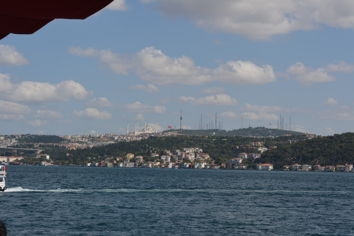 DSC-4700.jpg
