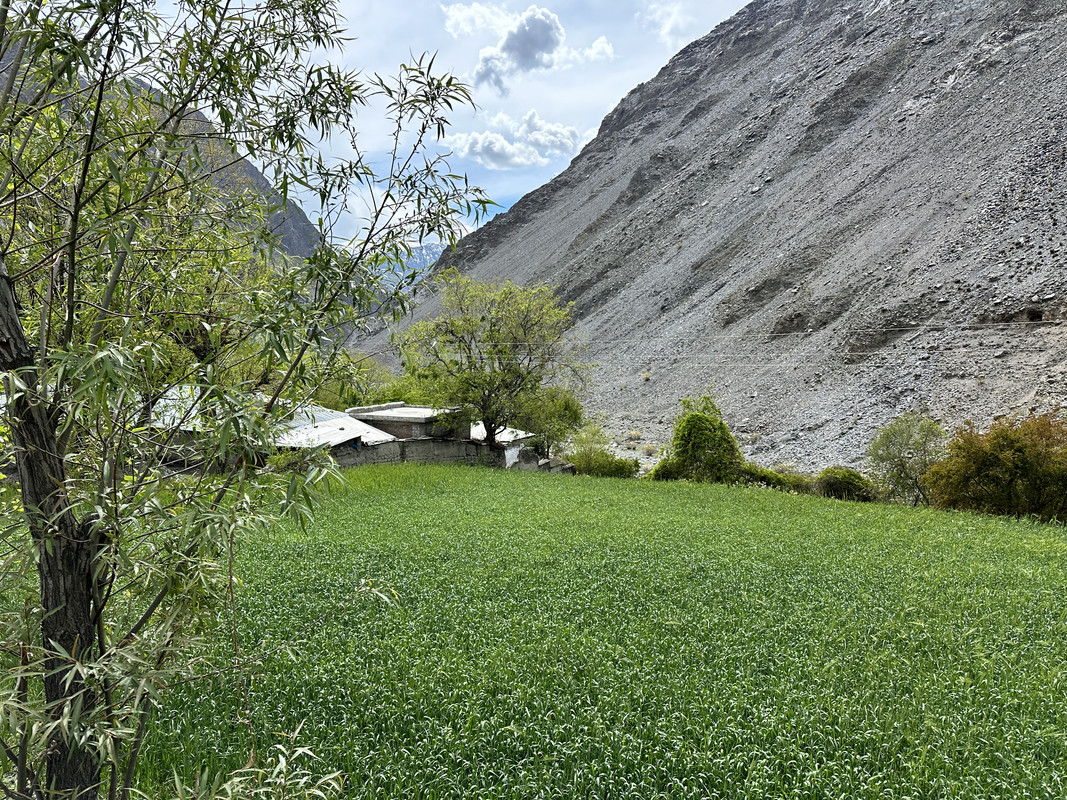 IMG-2379.jpg