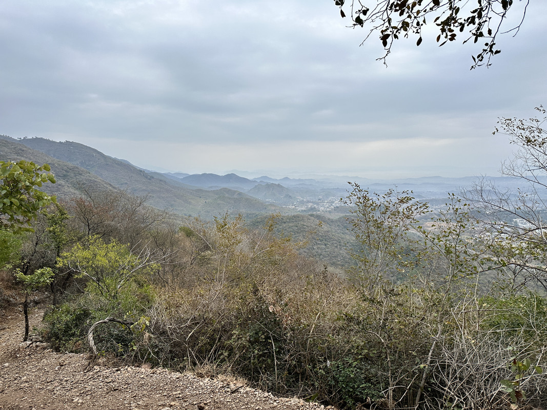 IMG-1747.jpg