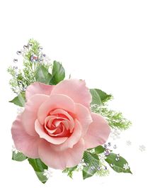 bcae7bf0ba7cb10d256a6ab2c60c82c7.jpg