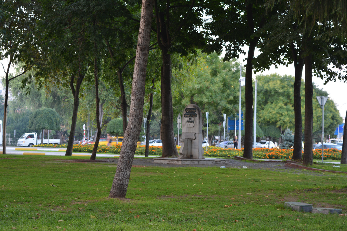 DSC-4549.jpg