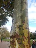 th_2012-11-03104146.jpg