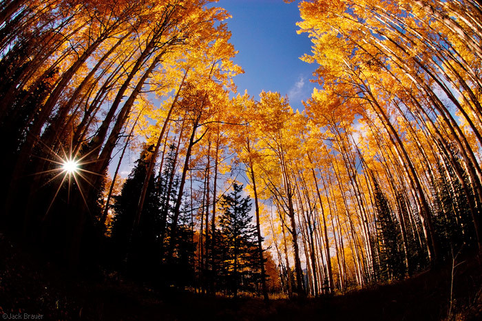 mcClureFisheye.jpg