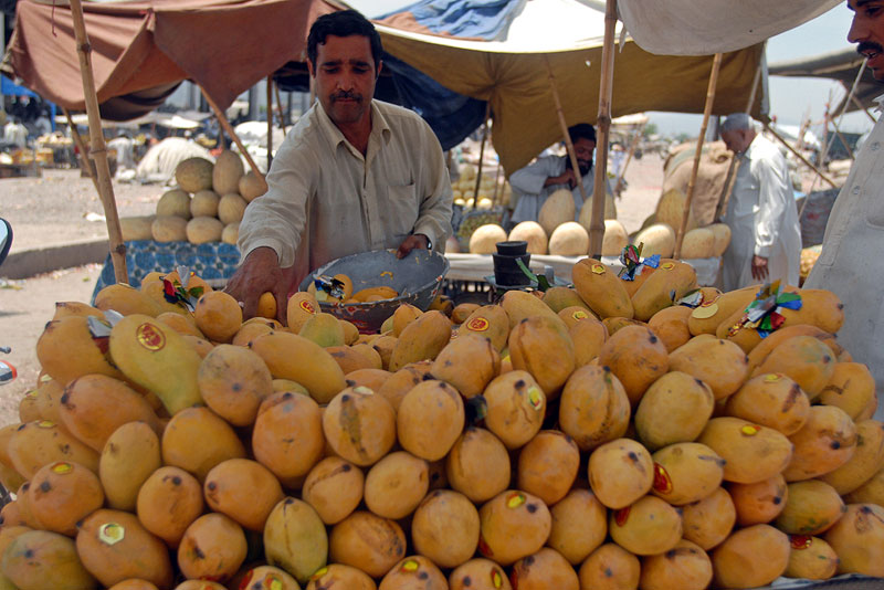 100729_mangoes.jpg