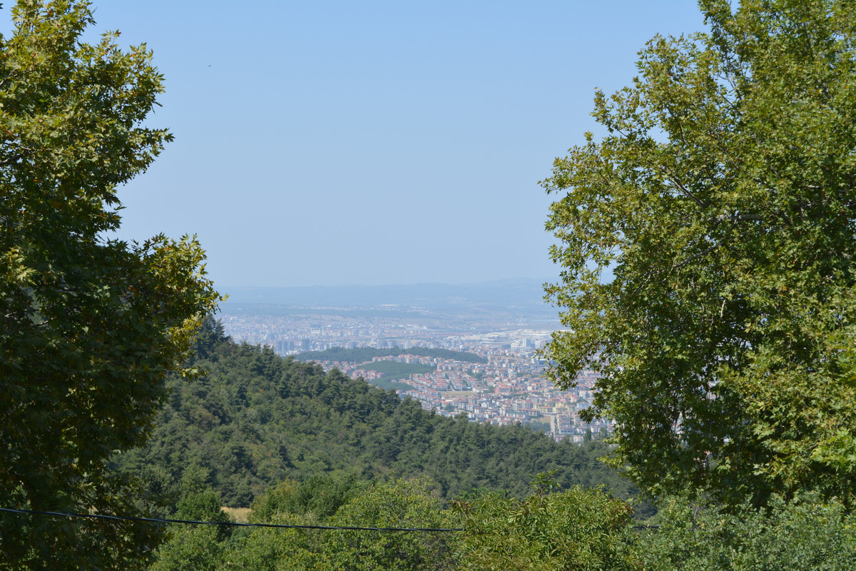 DSC-5132.jpg
