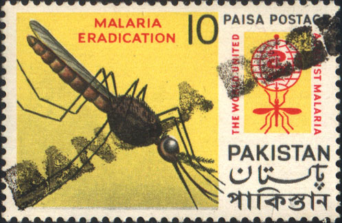160_HandStamp2_z_z.jpg