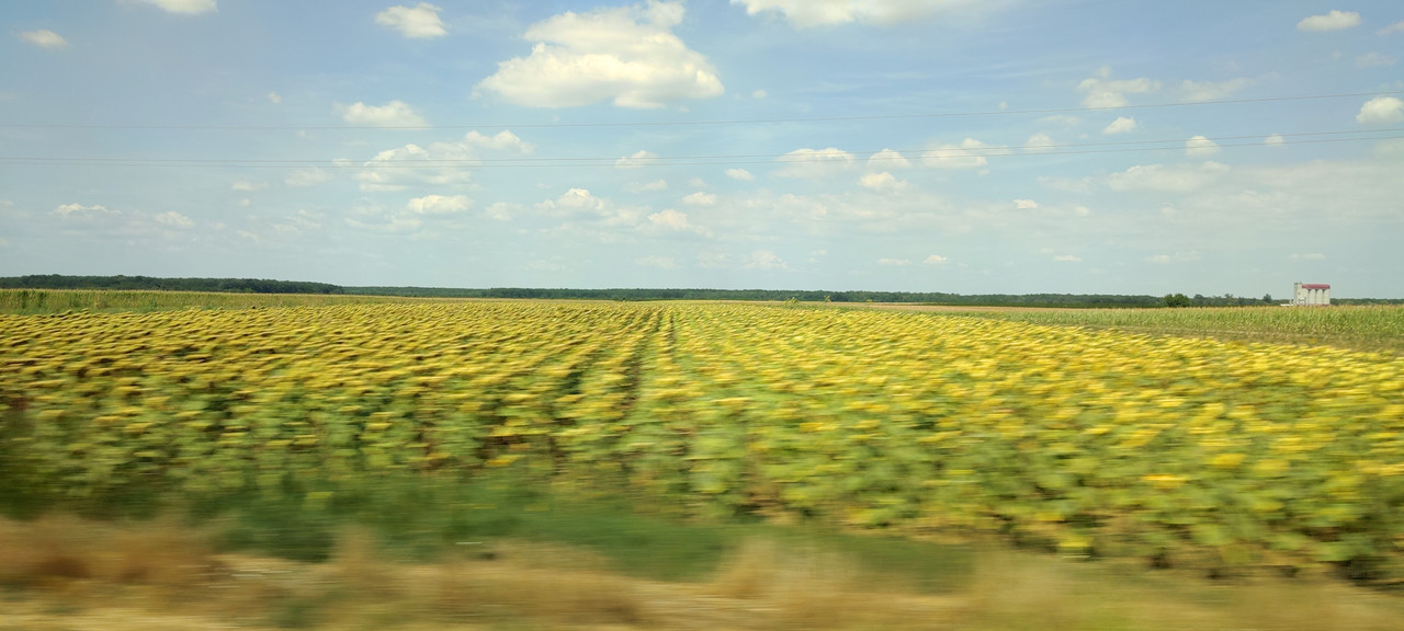 ss01.jpg