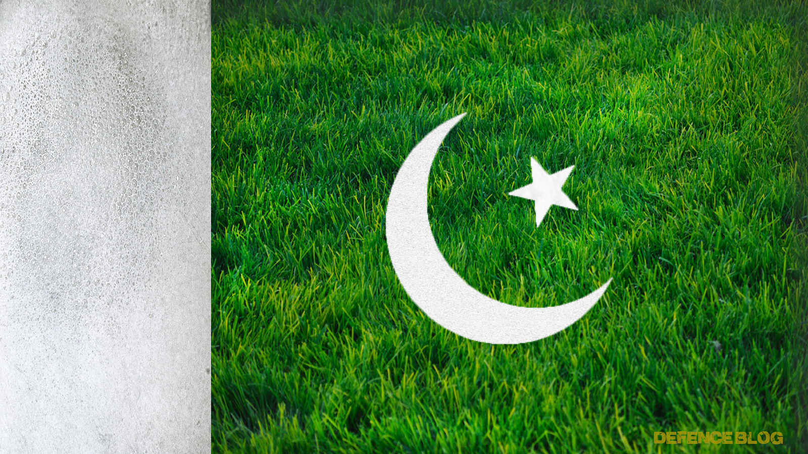 pakistan+flag+grass.jpg