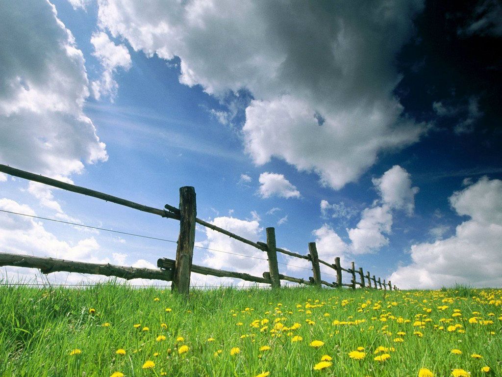 summer_backgrounds-1.jpg