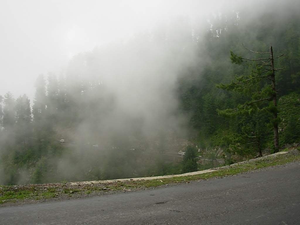 dscn5626_681.jpg