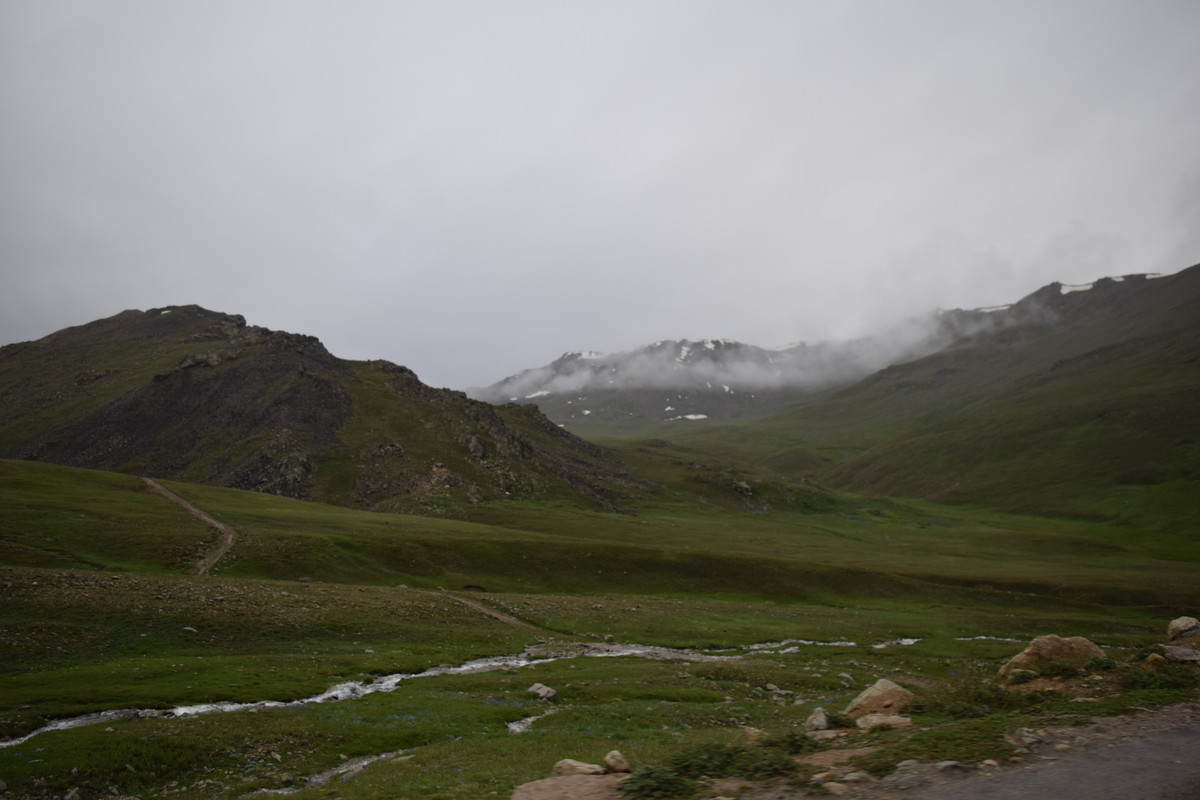 DSC-0858.jpg