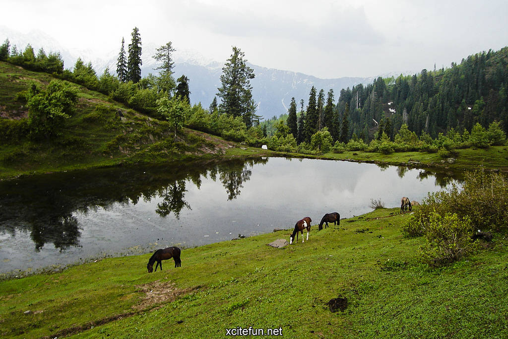 213407,xcitefun-shogran-valley-2.jpg