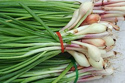 250px-GreenOnions.jpg