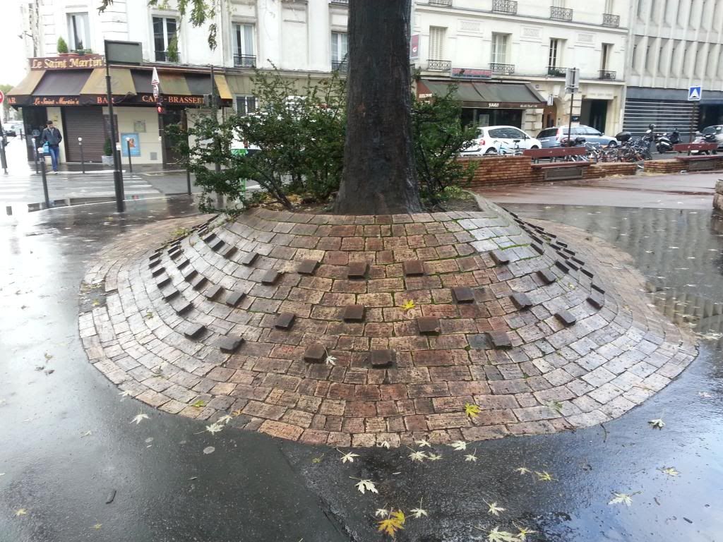 2012-11-03093016.jpg
