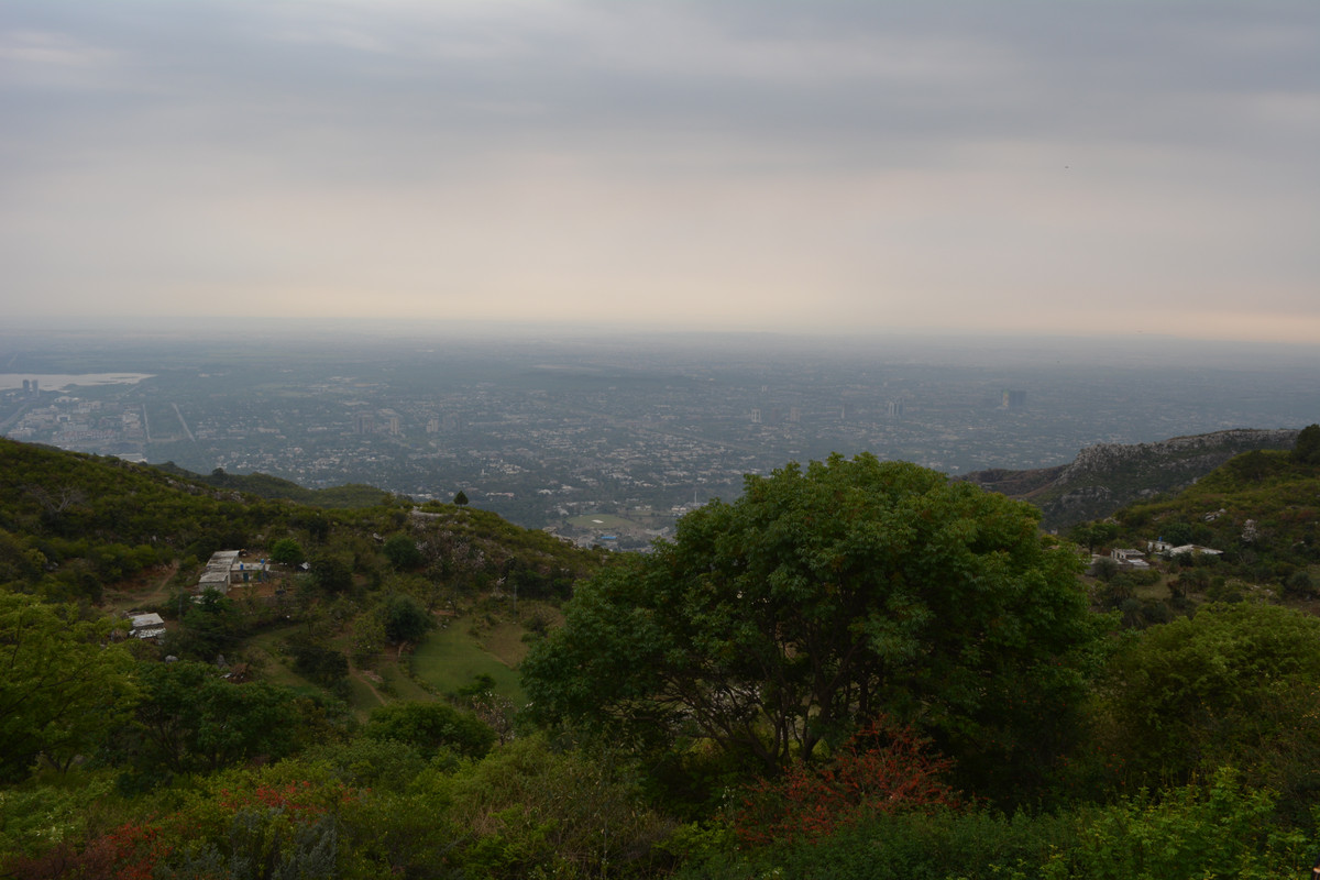 DSC-3104.jpg