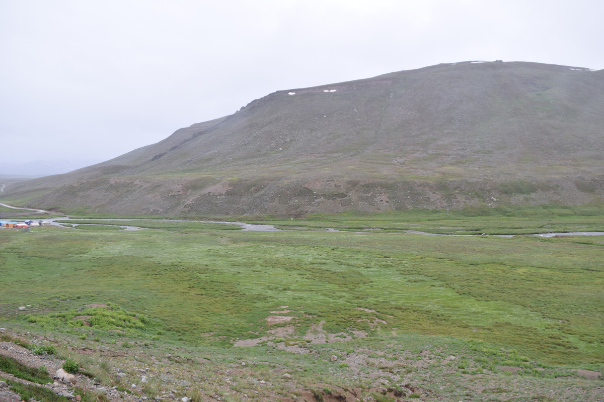 DSC-0707.jpg