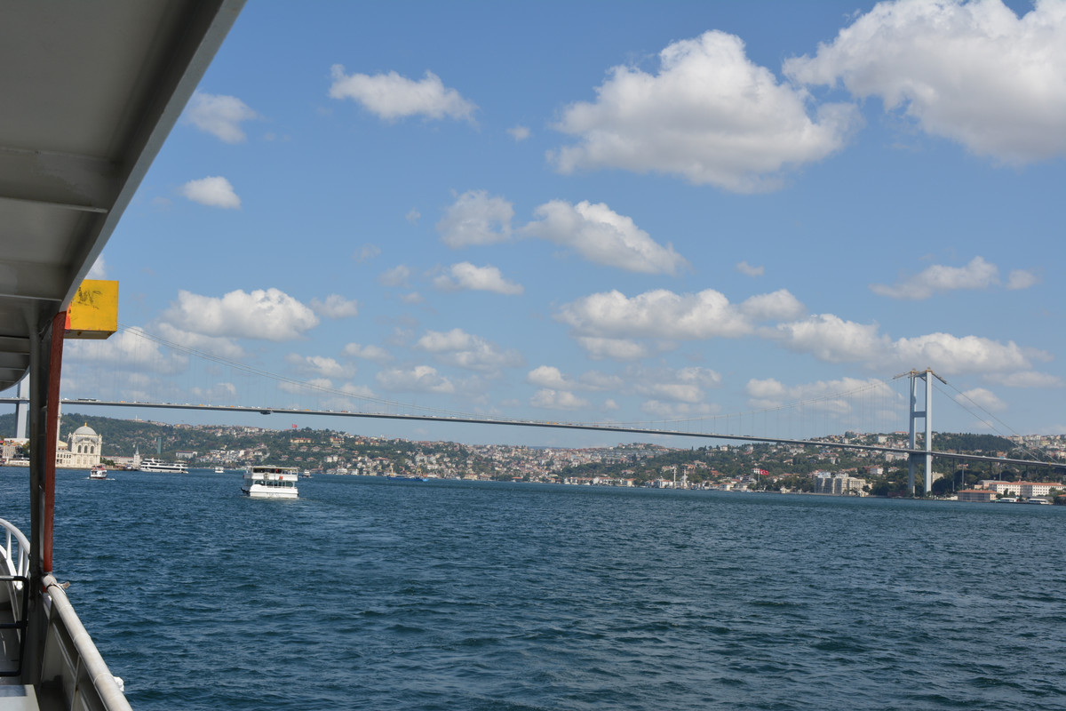 DSC-4713.jpg
