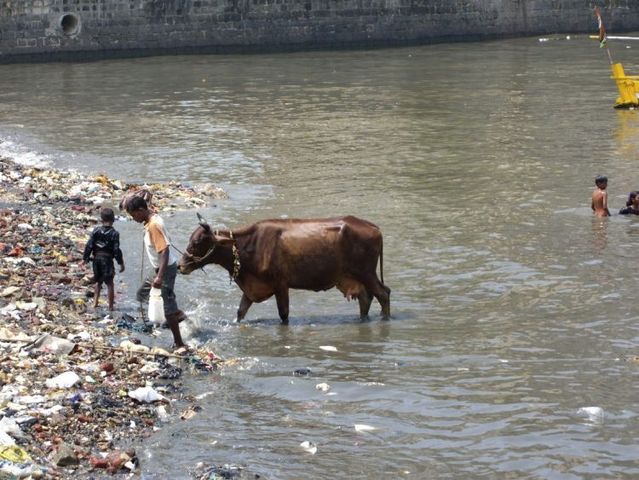india_07.jpg