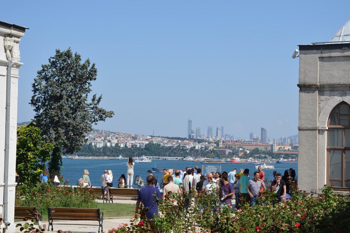 DSC-4250.jpg