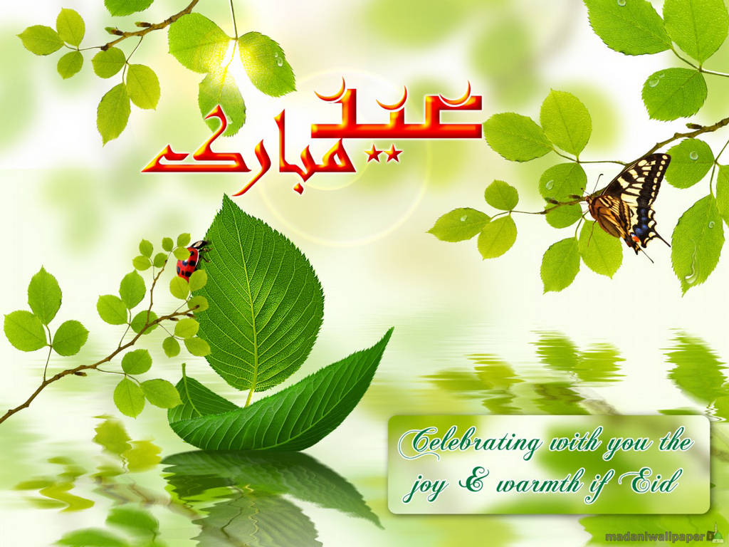 300816,xcitefun-eid-wallpaper-4.jpg