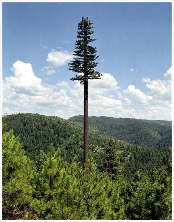 cell_tower_03.jpg