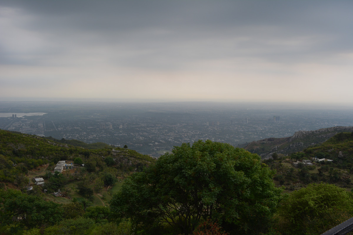 DSC-3118.jpg