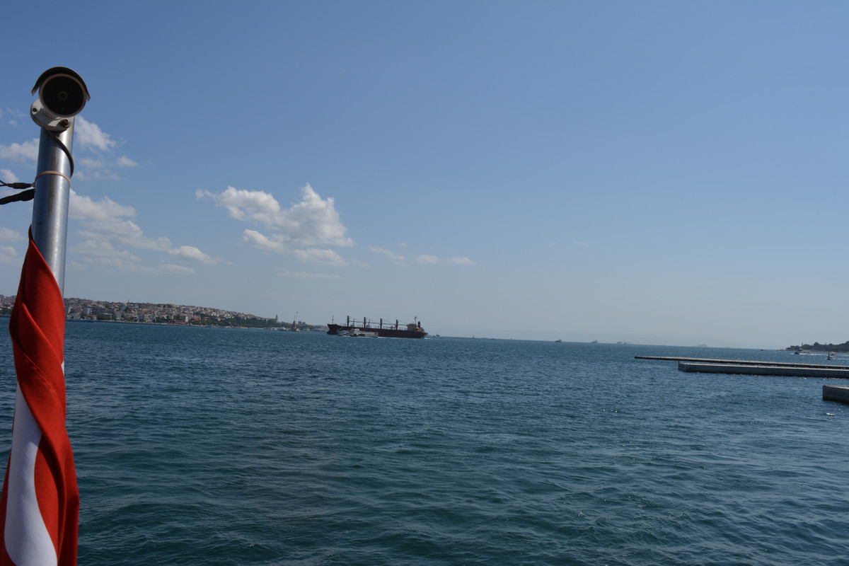 DSC-4672.jpg