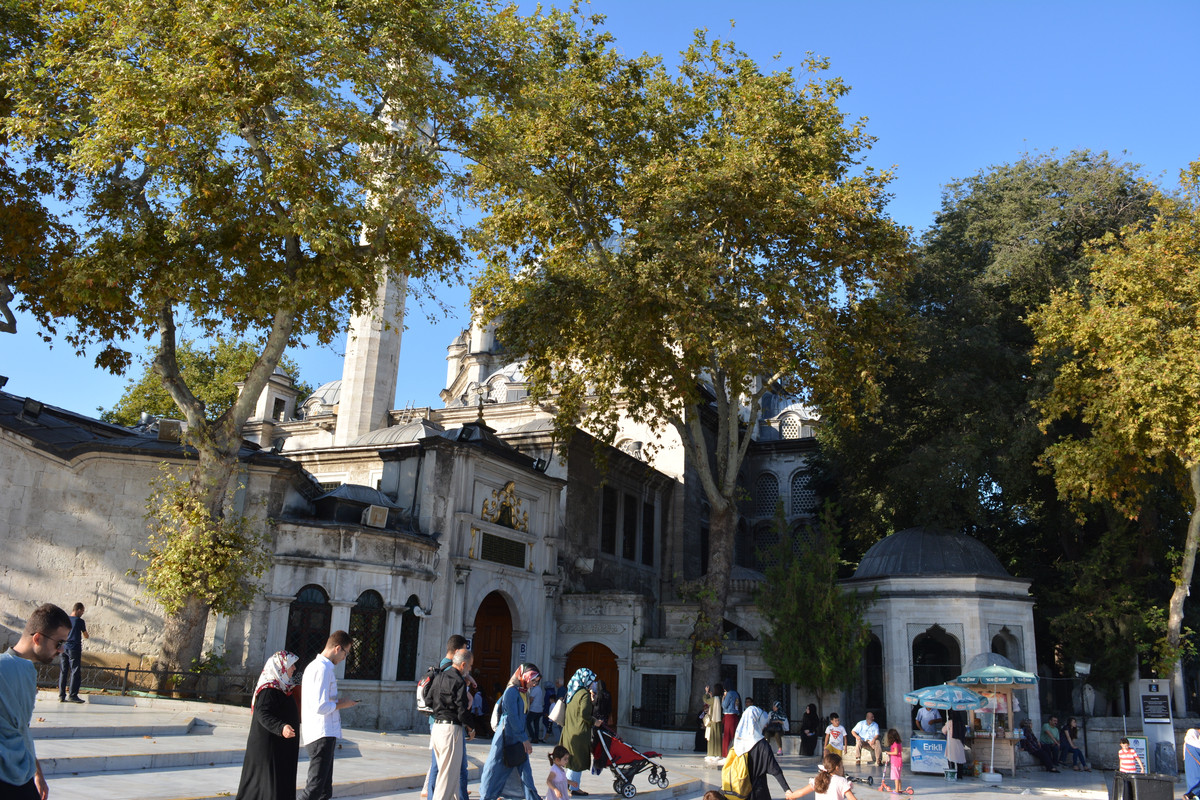 DSC-4477.jpg