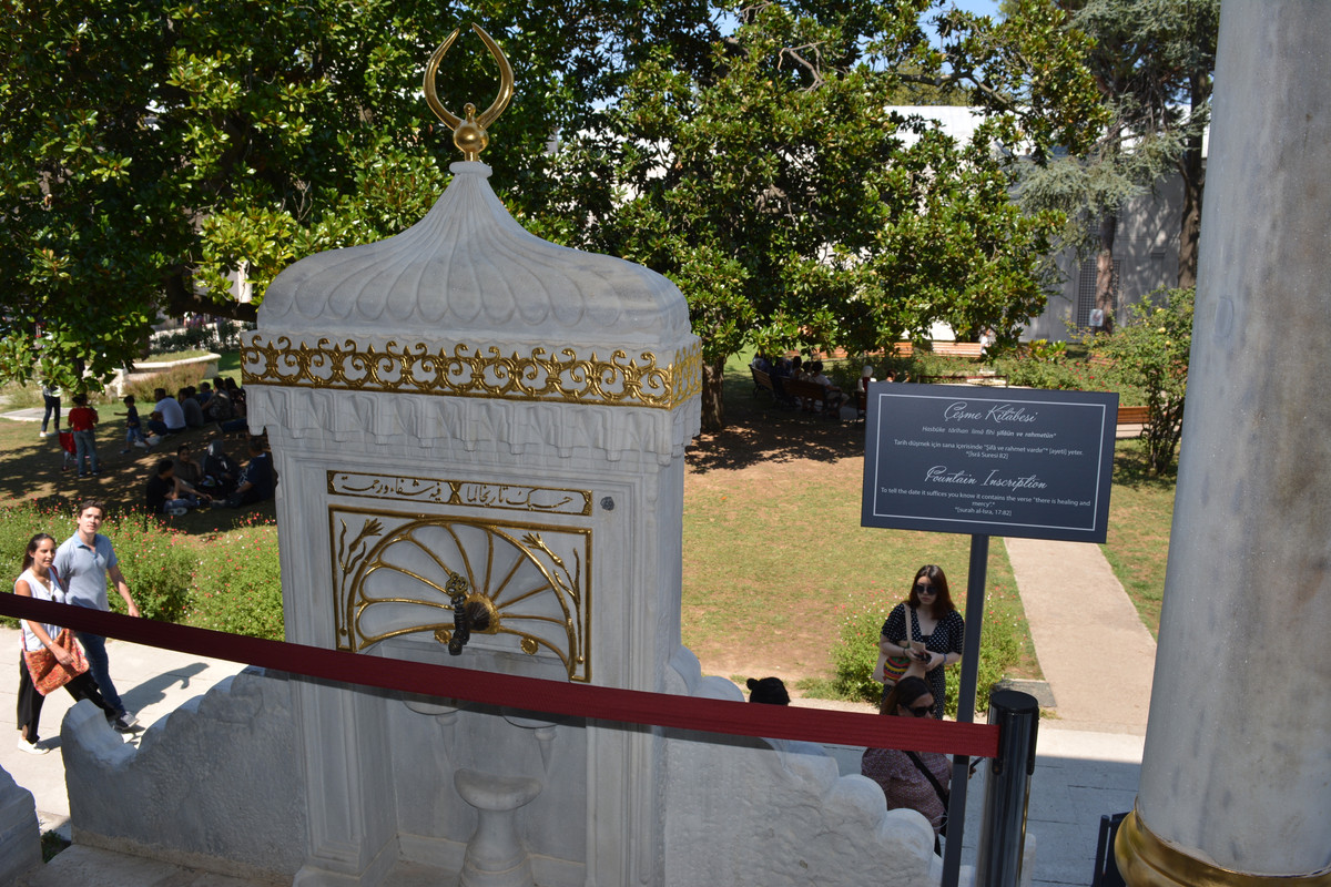 DSC-4231.jpg