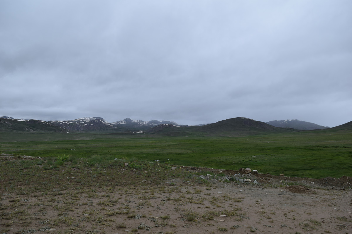 DSC-0608.jpg