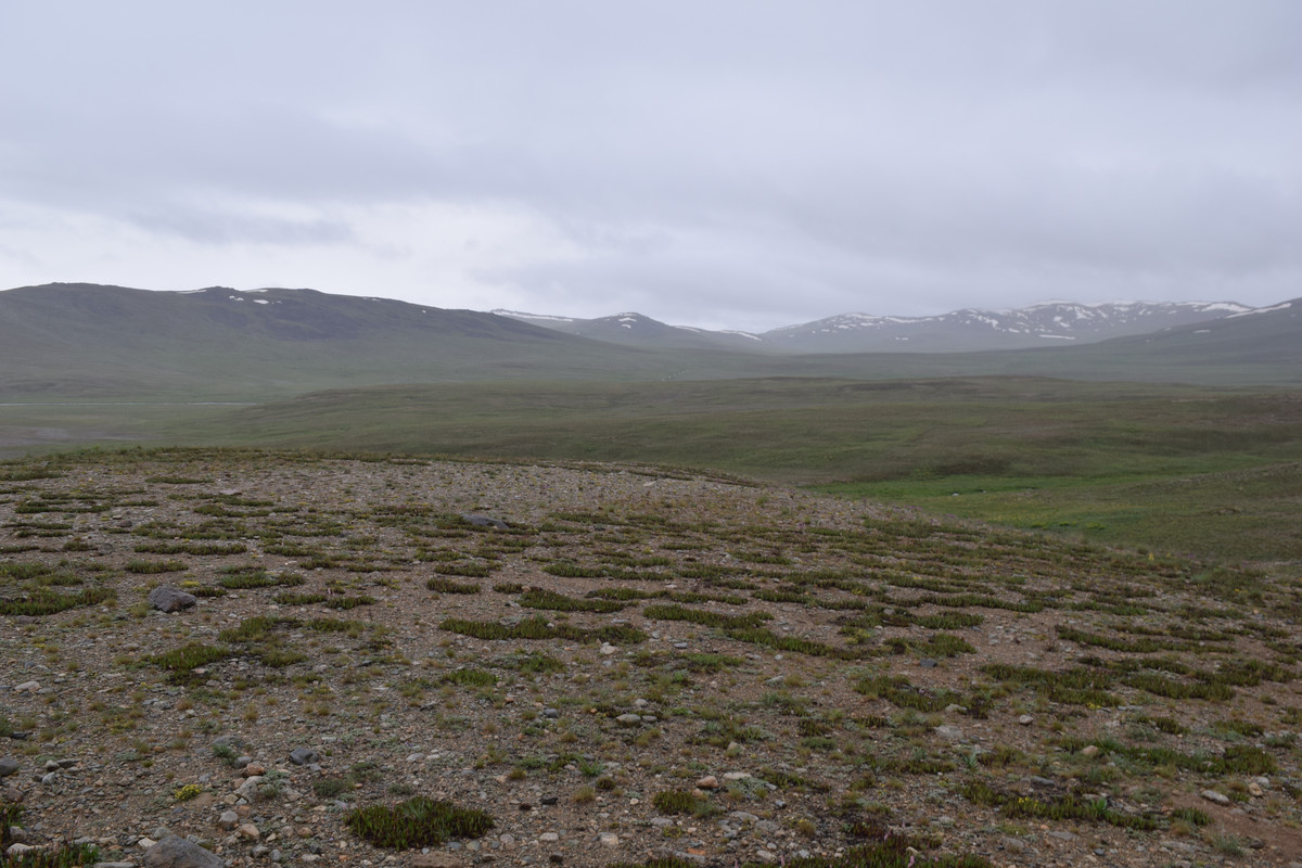 DSC-0745.jpg