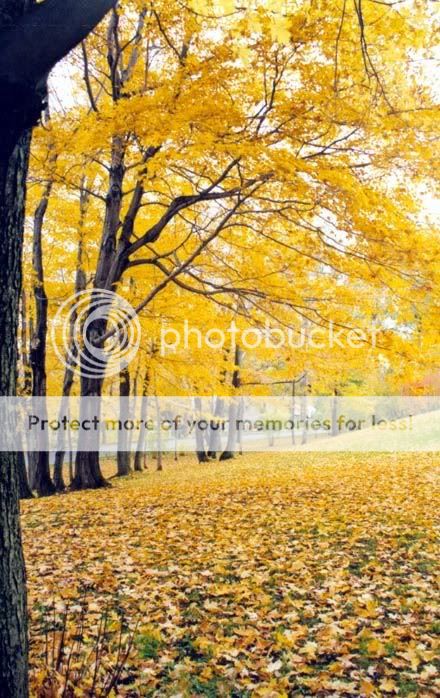 BeautyofEarth7.jpg