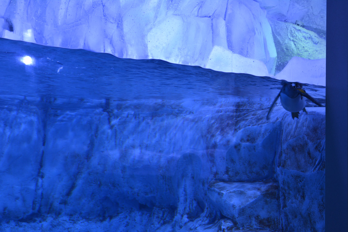 DSC-5678.jpg