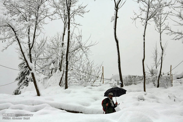 Snowy-Masouleh4.jpg