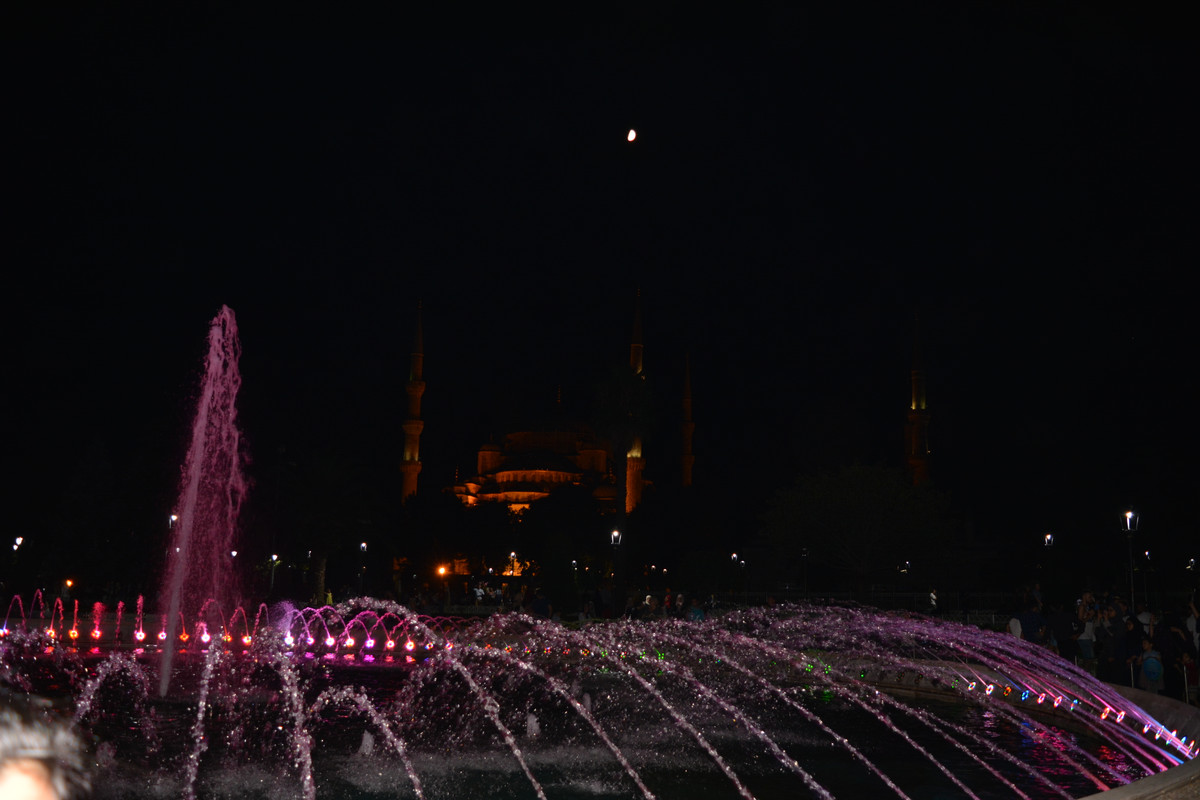 DSC-4371.jpg